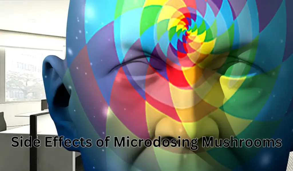 Side Effects of Microdosing Mushrooms