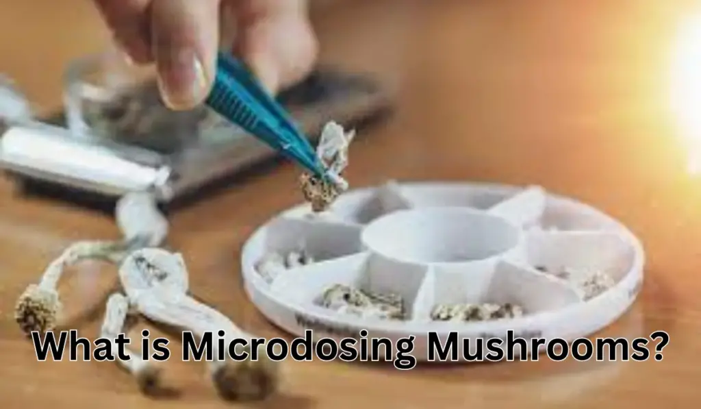 What is Microdosing Mushrooms