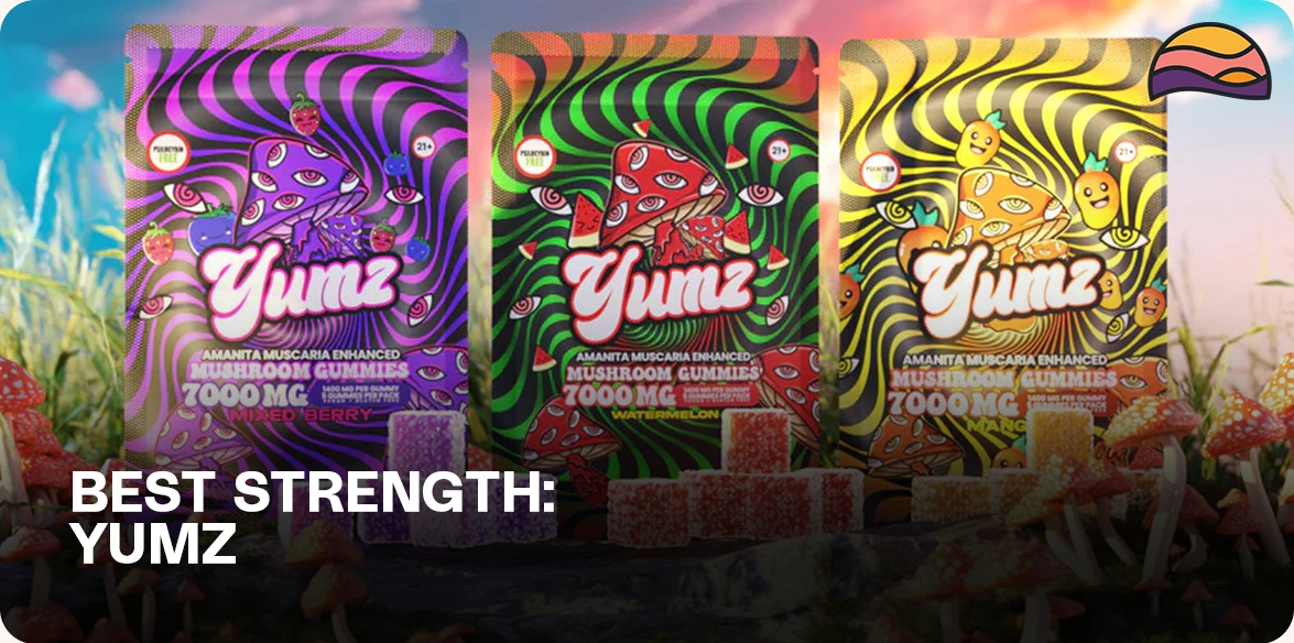 Best Magic Mushrooms by strength