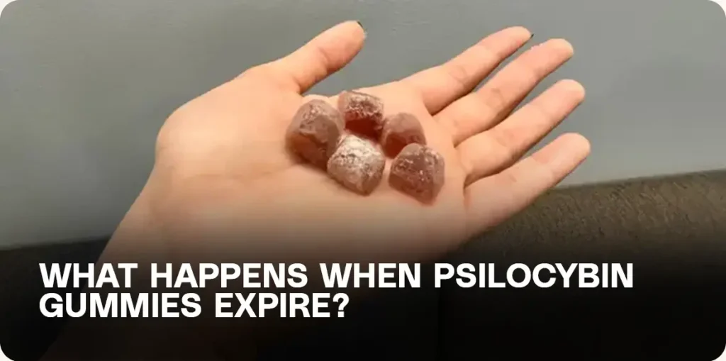 do mushroom gummies expire safety guide